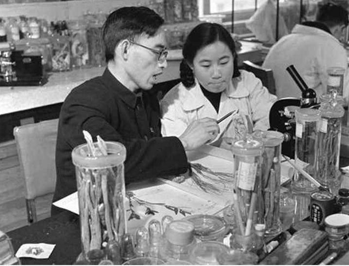 Chinese nobel Prize-winning scientist Tu Youyou (屠呦呦, right) and tutor Lou Zhicen at the China Academy of Chinese Medical Sciences. Source: Xinhua, undated (1950s).