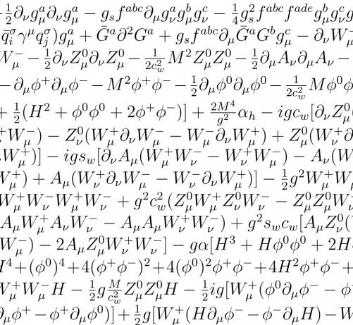 Lagrangian of the Standard Model of Particle Physics,
