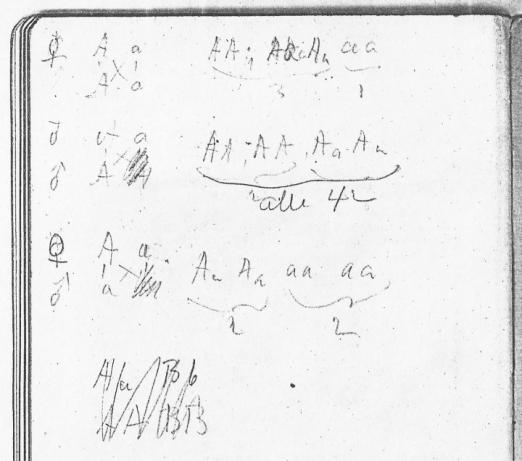 Verso side of back flyleaf of Tschermak’s edition of Mendel’s paper. Nilsson-Ehle is trying to work out the possible combinations between two pairs of alleles (A – a and B – b) and their numerical ratios, but fails, as is evident from deletions and abandoned attempts. Svalöv Weibull AB Research Library. Reproduced from a xerox copy that was made in 1998 by one of the authors (SMW). The company Savalöv Weibull AB was taken over by Lantmännen and the current whereabouts of the library are unknown.