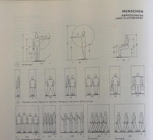 “Men: Measures and Spatial Requirements,” in Ernst Neufert, Bauentwurfslehre (Berlin: Bauwelt-Verlag, 1936), 30.