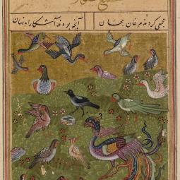 A page from ms. Oxford Bodleian Library, Ms. Elliott 246, fol. 25v, dated 1493, of Farīd al-Dīn ʿAṭṭār, The Conference of the Birds (Manṭiq al-ṭayr).