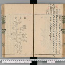 Zhao_Project_Shūken’ō kyūkō honzō (1716)_National Diet Library Tokyo