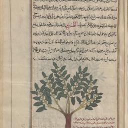 Fī Hayūlā al-tibb, trans. Ḥunayn ibn Isḥāq