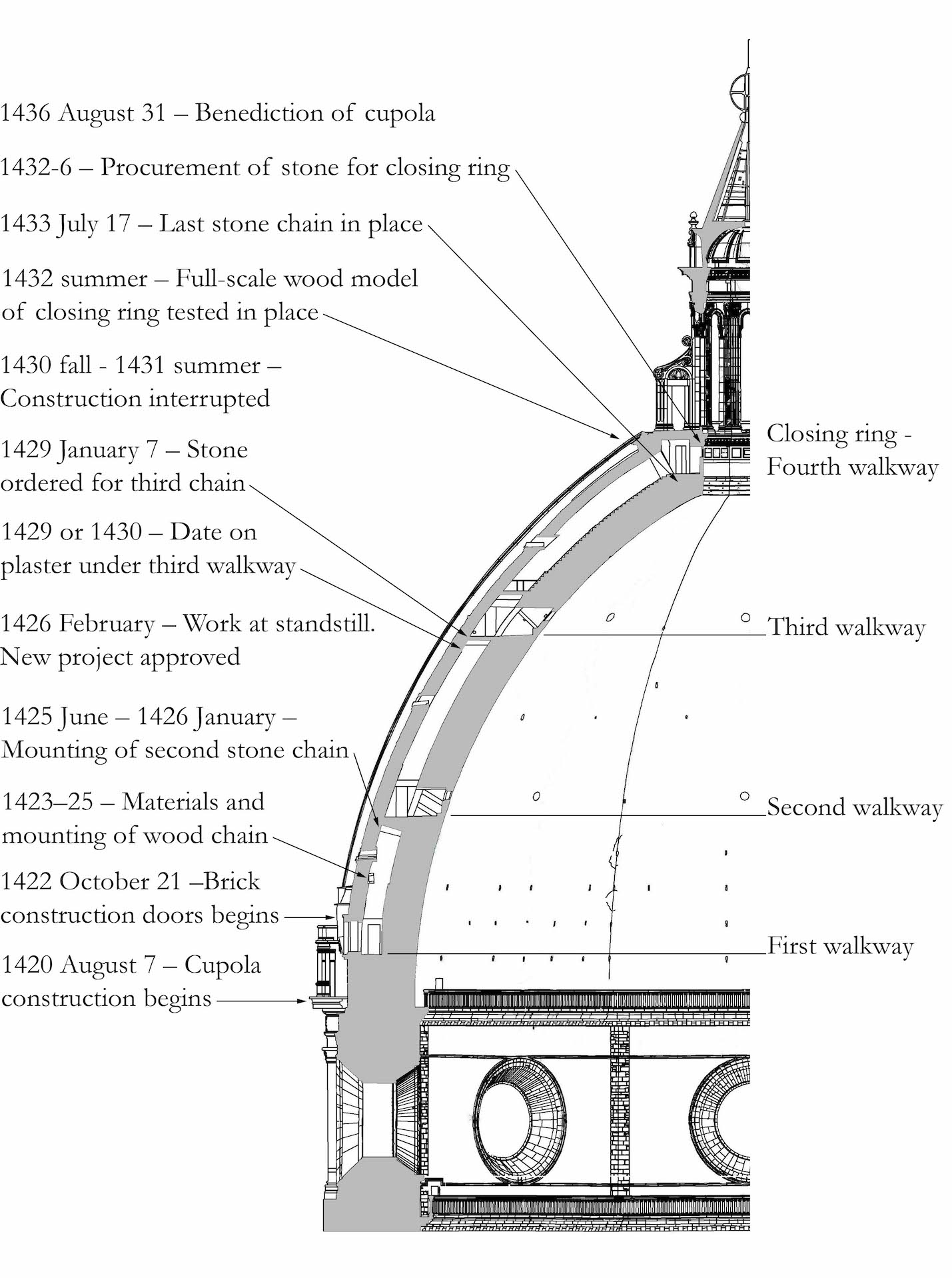 Cupola crosssection