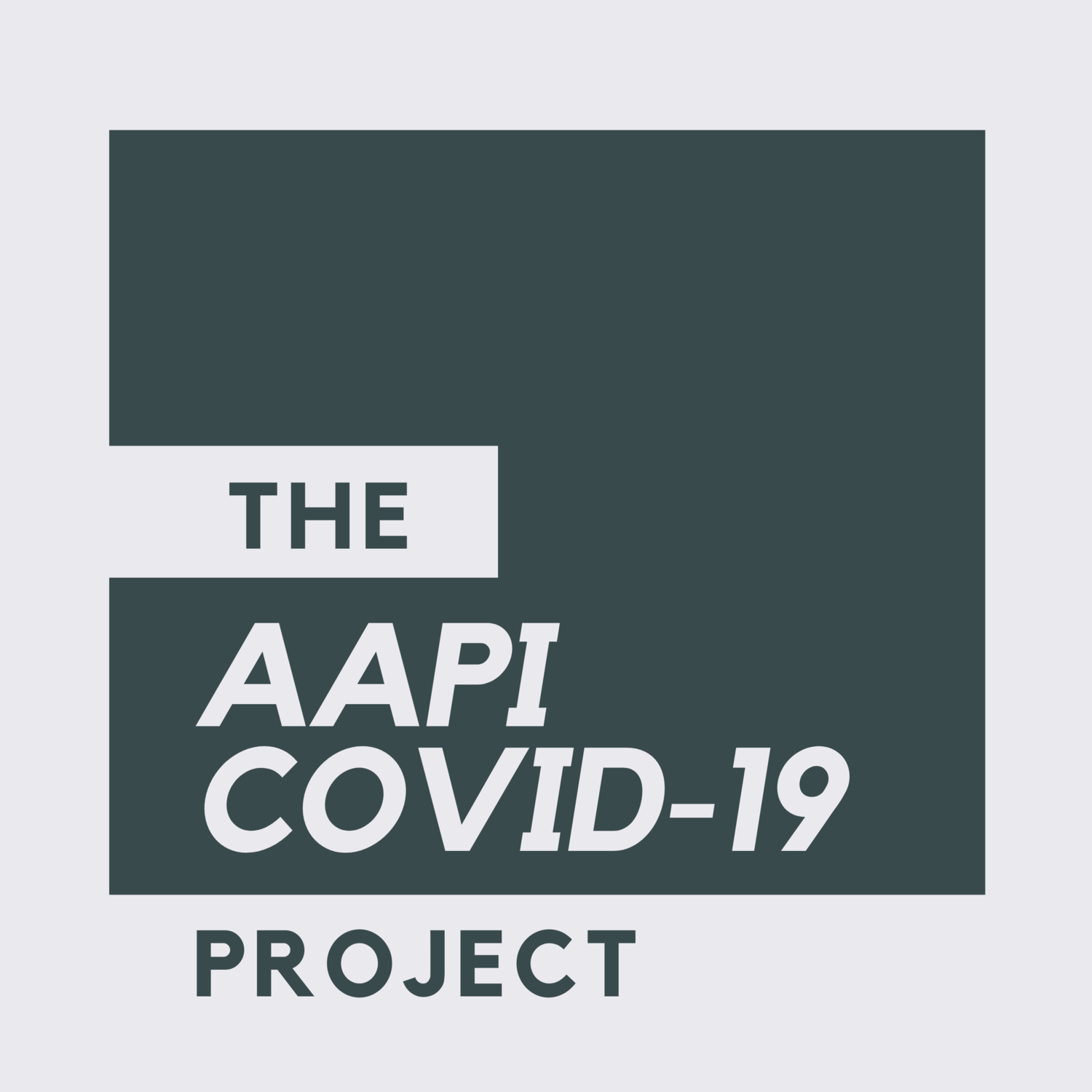 AAPI project logo