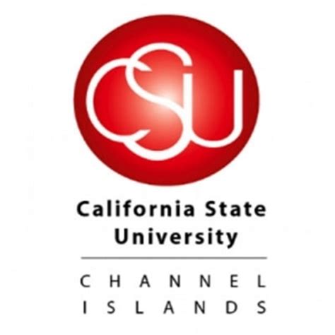CSU CI Logo