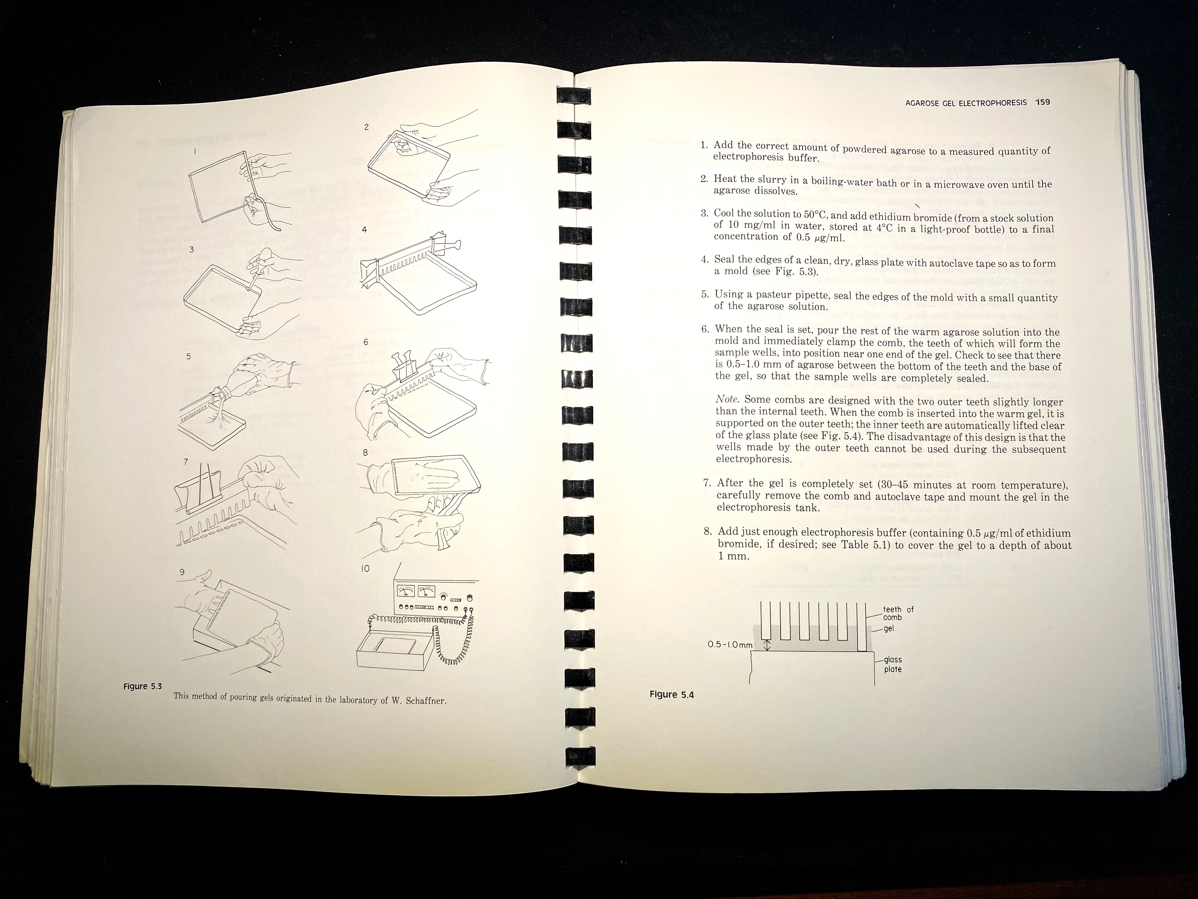 Instructions and diagram for a molecular biology routine