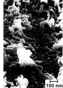 Electron microscope image