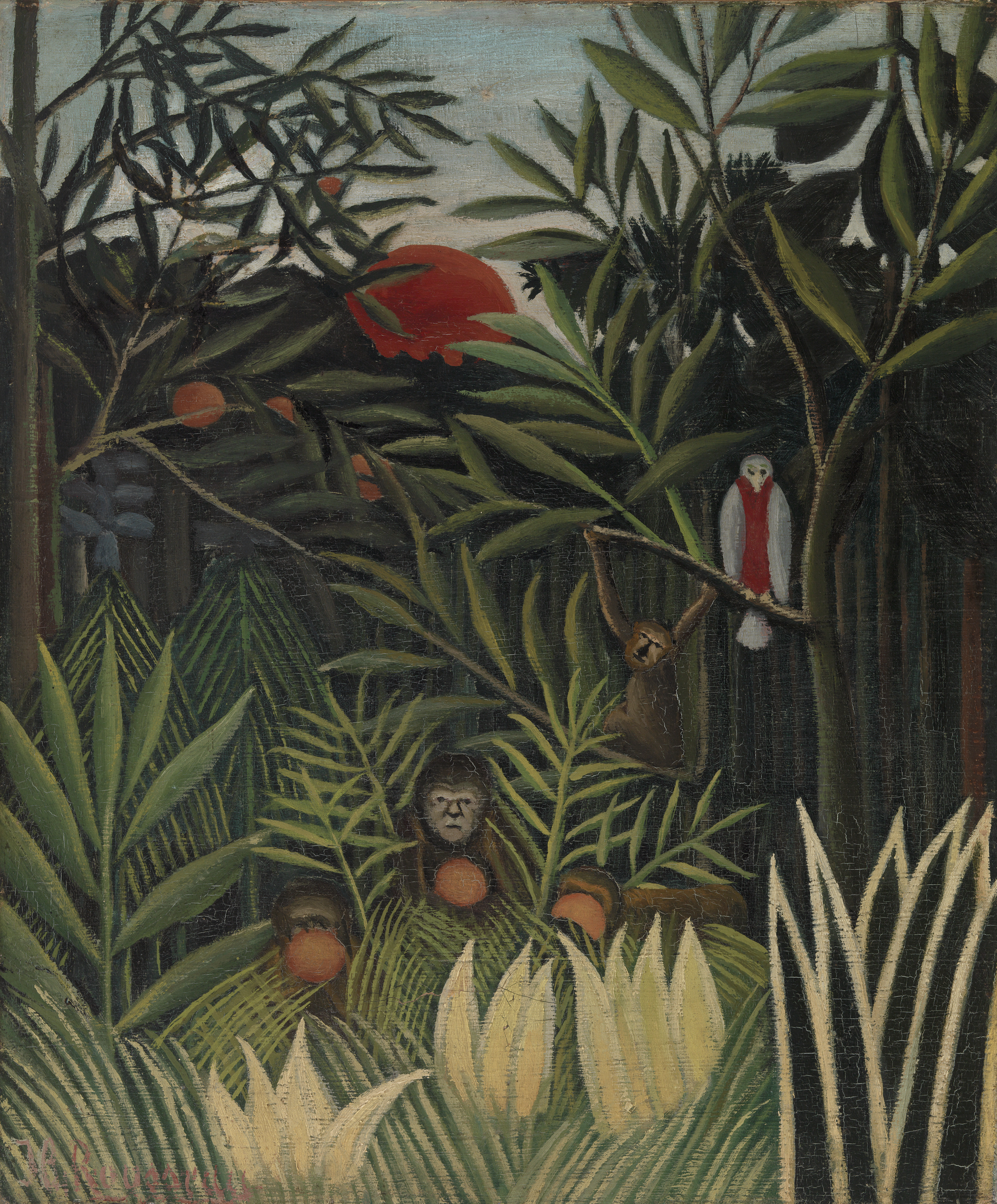 Singes et perroquet dans la forêt vierge, ca. 1905-1906 by Henri Rousseau, at Barnes Foundation, Philadelphia. Public Domain.