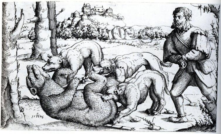 Bear Hunting