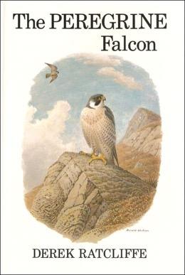 Book cover: Derek Ratcliffe, The Peregrine Falcon (1980), which helped communicate his scientific findings to a wider audience.