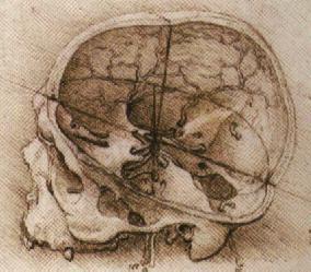 View of a Skull (c. 1489), a drawing by Leonardo da Vinci. Source: http://www.drawingsofleonardo.org.
