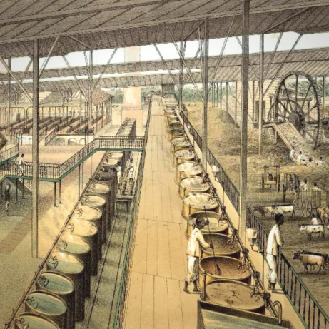 A Sugar Refinery in Cuba, 1857