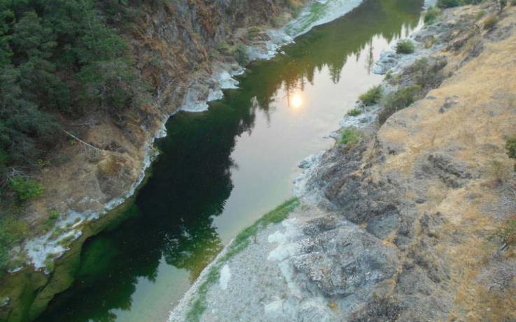 Algae-eel-river