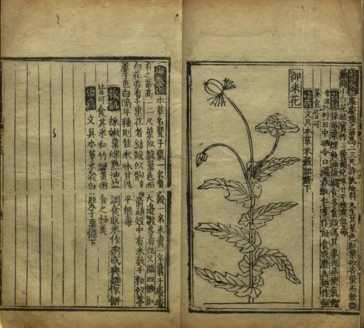 Jiuhuang bencao, 1406 (edition 1555)