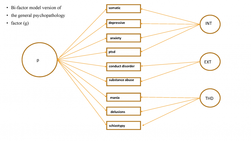 Bi-factor model version of the general psychopathology factor (g)