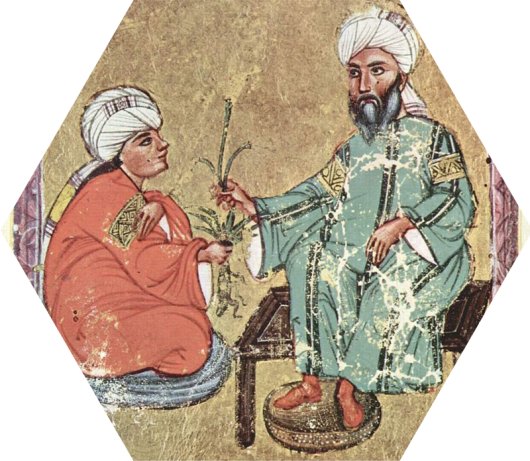 Erlwein, Avicenna the Book of Demonstrations of The Healing