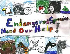 From the announcement of the USA national Endangered Species Day Art contest, 2010.