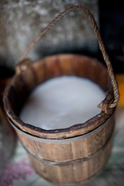 A wooden pail used for milking by the nomads of northern Mongolia.