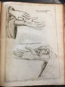 pencil sketch of gesturing hands
