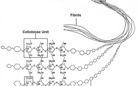 diagram showing the chemical structure of fiber