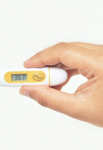 a photograph of a hand holding a thermometer