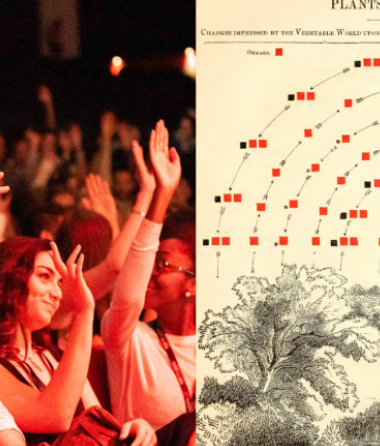 A depiction of oxygen, carbon and water cycles in nature and another with members of a conference raising their hands