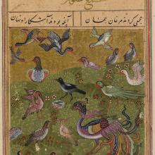 A page from ms. Oxford Bodleian Library, Ms. Elliott 246, fol. 25v, dated 1493, of Farīd al-Dīn ʿAṭṭār, The Conference of the Birds (Manṭiq al-ṭayr).