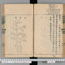 Zhao_Project_Shūken’ō kyūkō honzō (1716)_National Diet Library Tokyo
